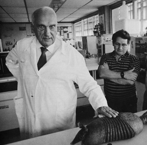 convit-1