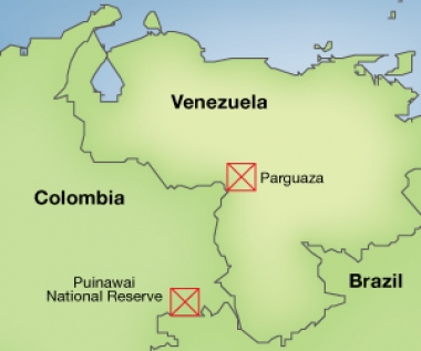 Coltan Map 5 cosas que debe saber sobre el coltán