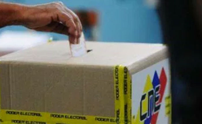 eleccionesperlamentarias11