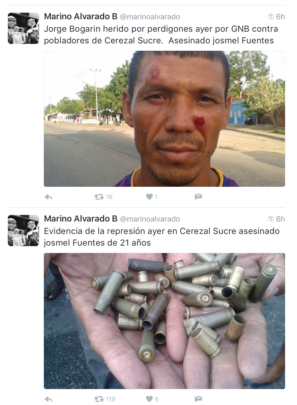 TL Marino Alvarado 3