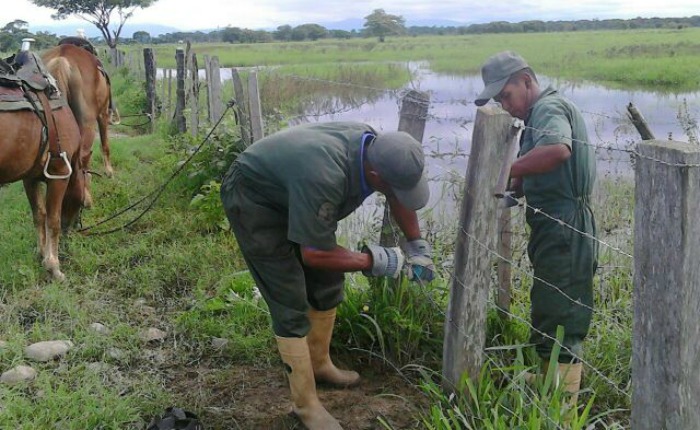 agrofanb_050616
