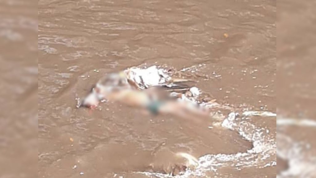 #MonitordeVíctimas | Identifican cadáver hallado en el río Guaire