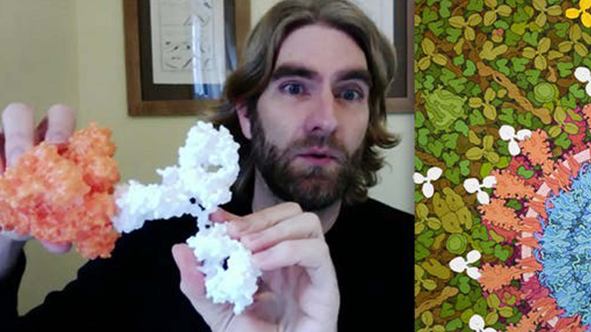 La lucha del cuerpo contra COVID-19 explicada con modelos impresos en 3D, entrevista con Nathan Ahlgren