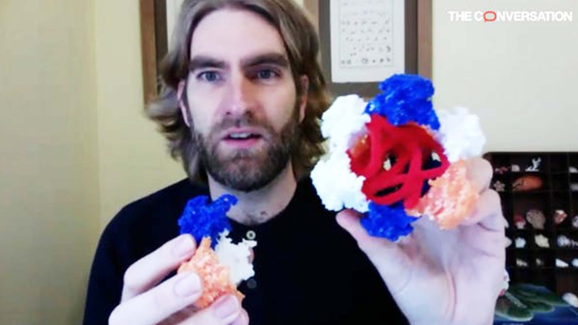 La lucha del cuerpo contra COVID-19 explicada con modelos impresos en 3D, entrevista con Nathan Ahlgren