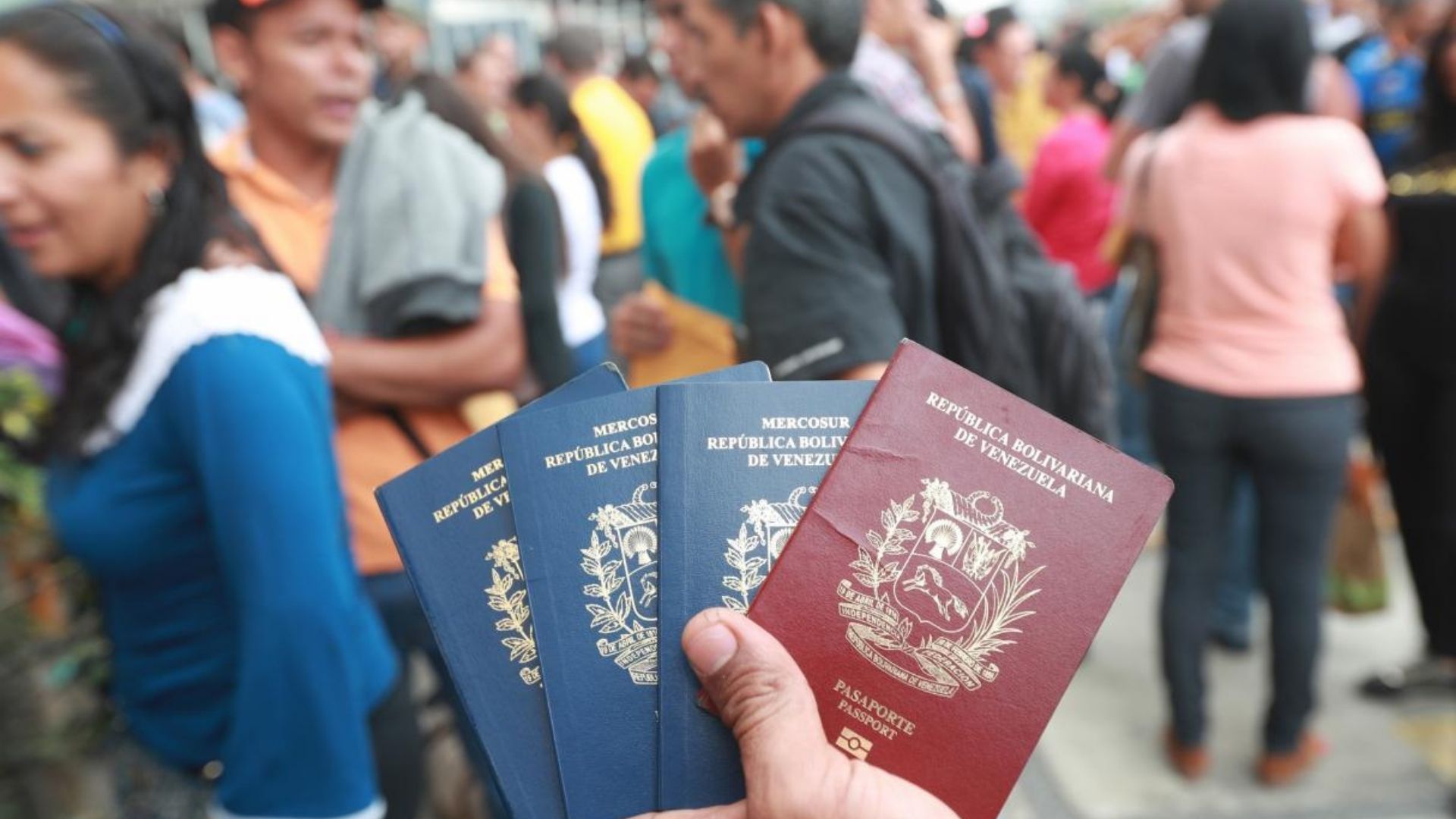 Pasaportes