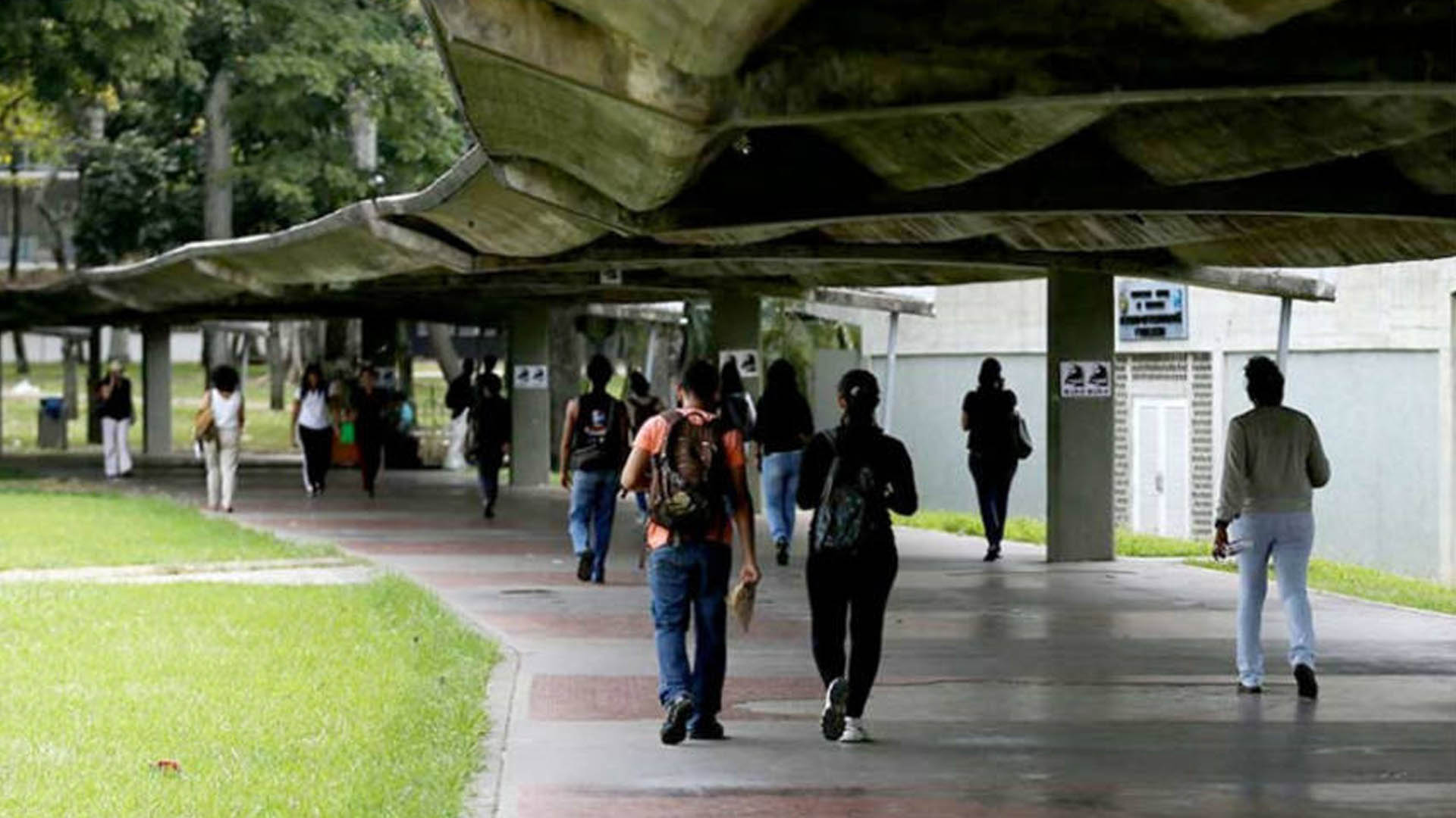 Universitarios