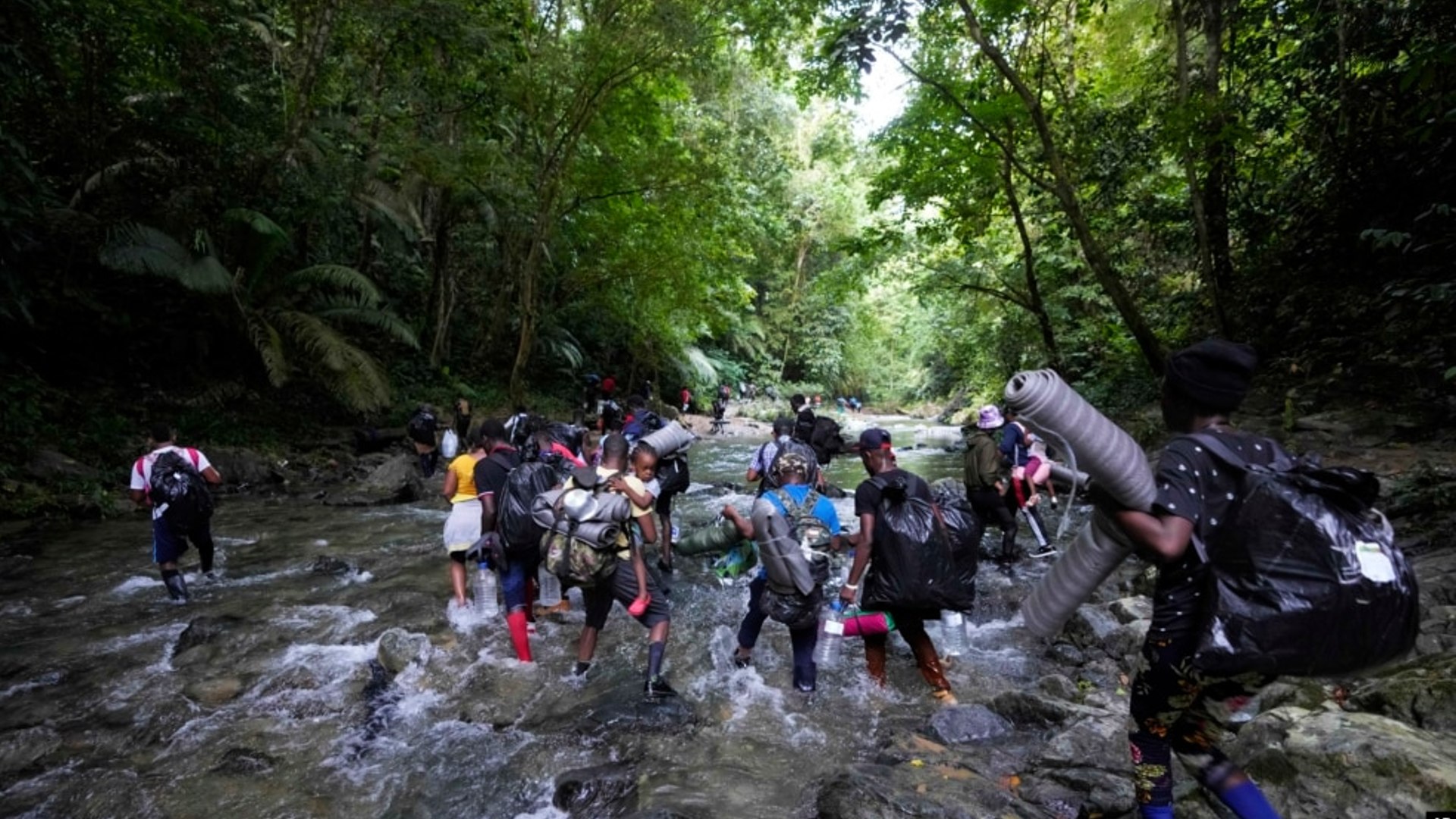 ONU: 2.500 venezolanos han cruzado la selva de Darién en lo que va de 2022