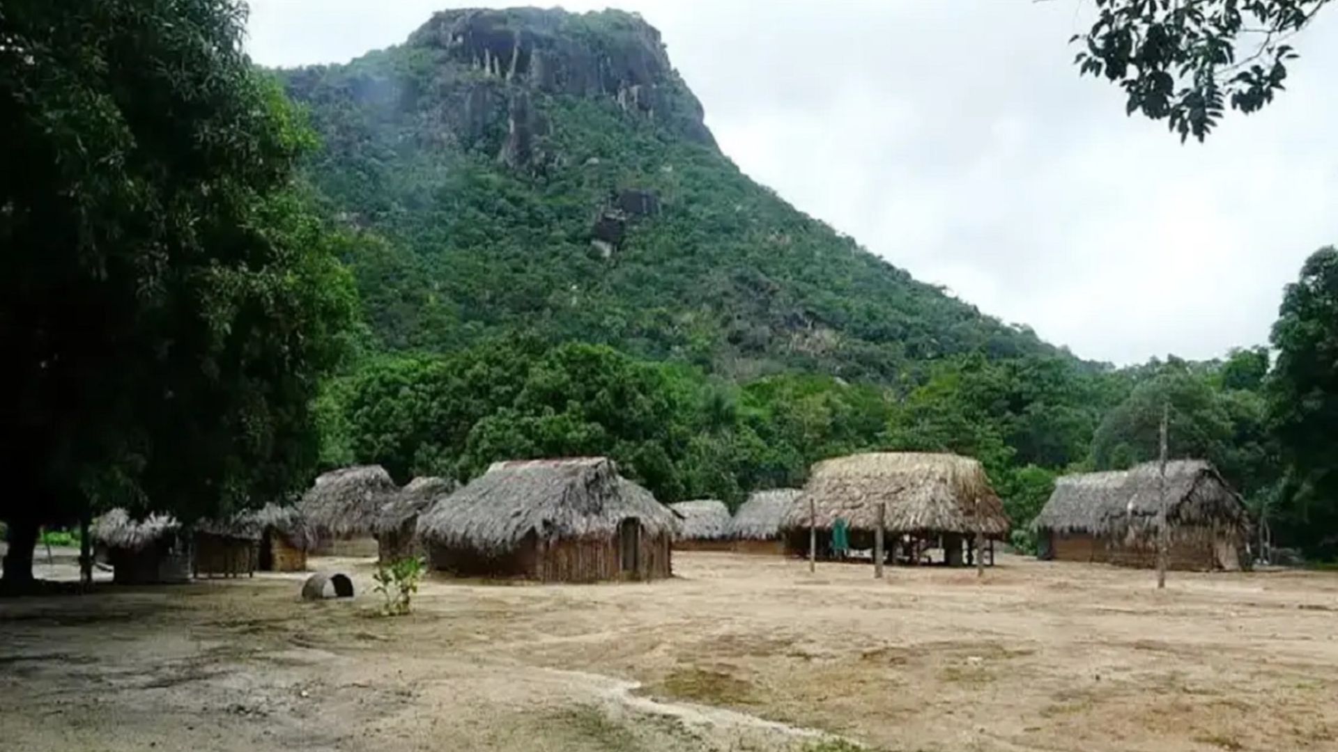 indígena
