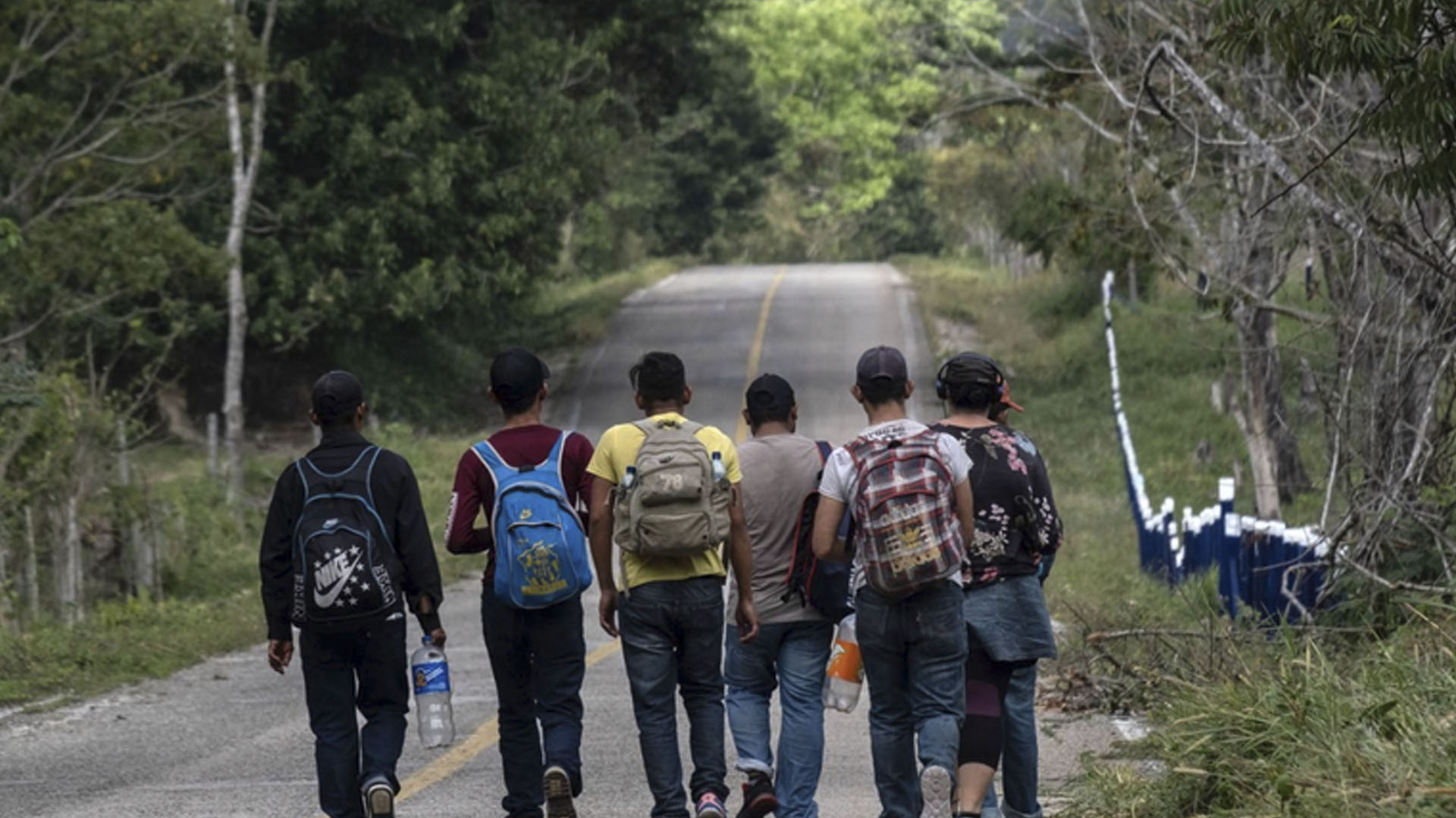 migrantes
