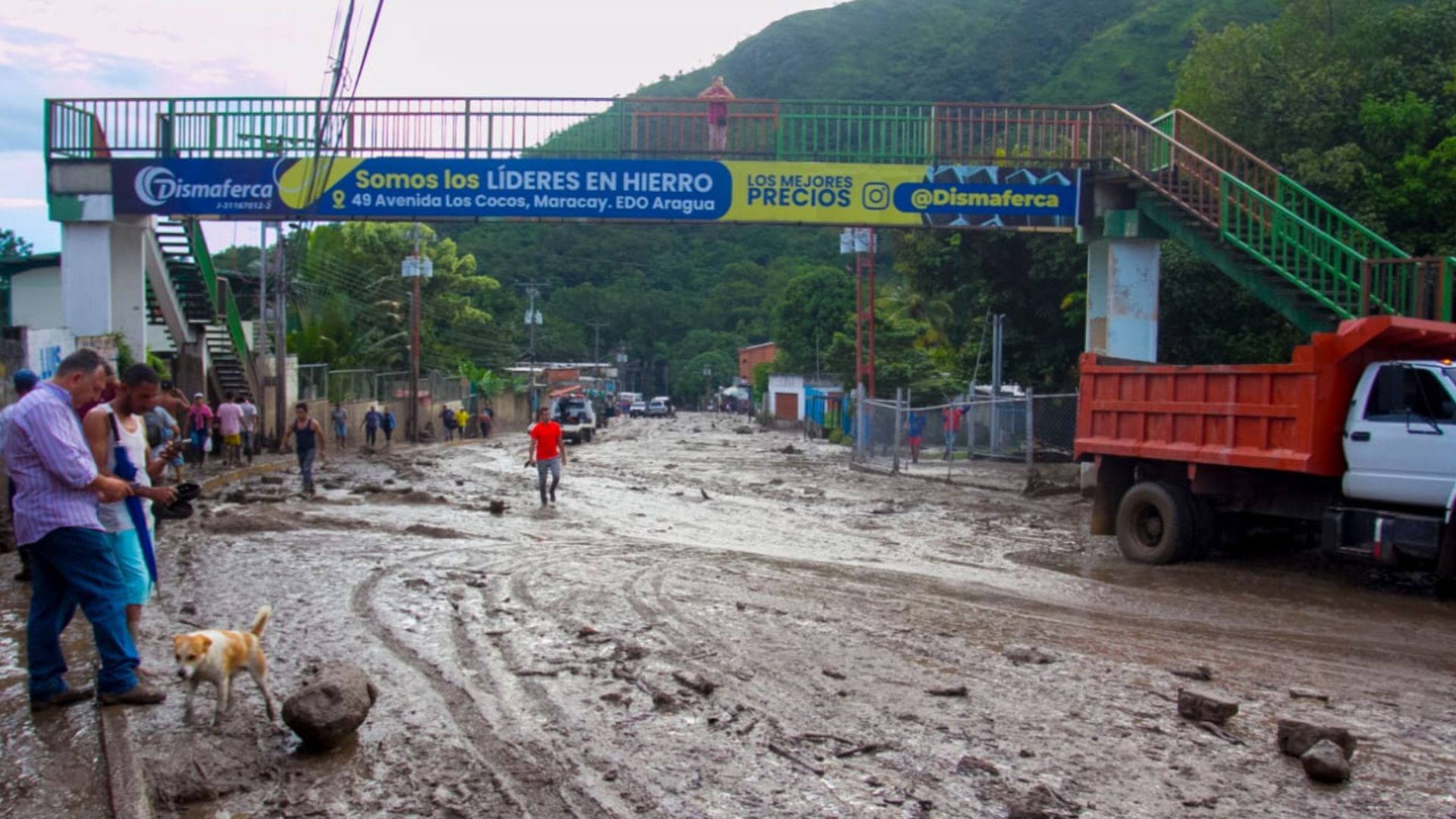 El Castaño