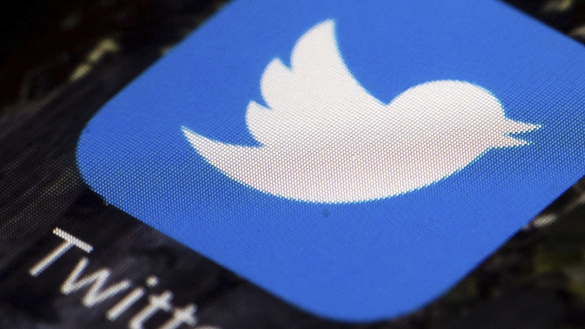 Probox: Gobierno promueve la idea en Twitter de que no tiene responsabilidad en desfalco a Pdvsa