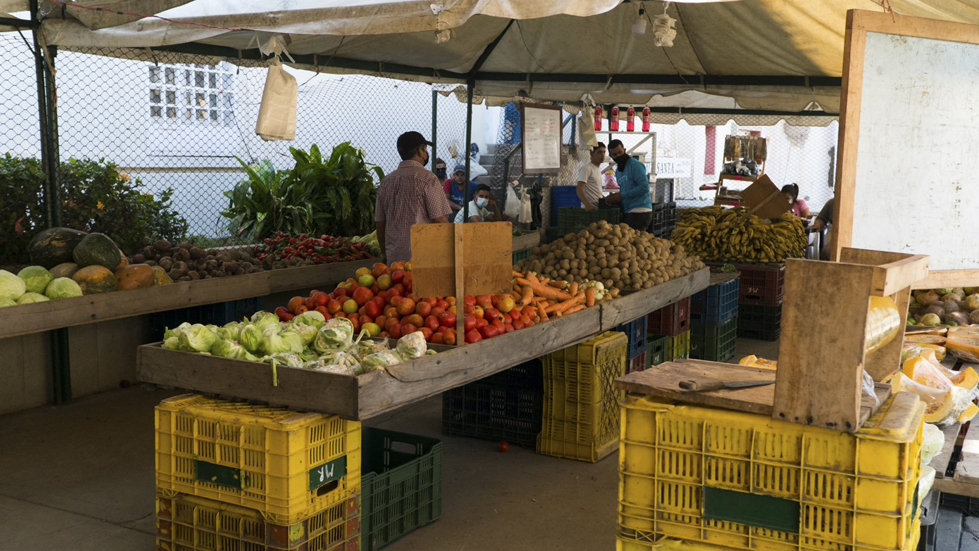 canasta alimentaria