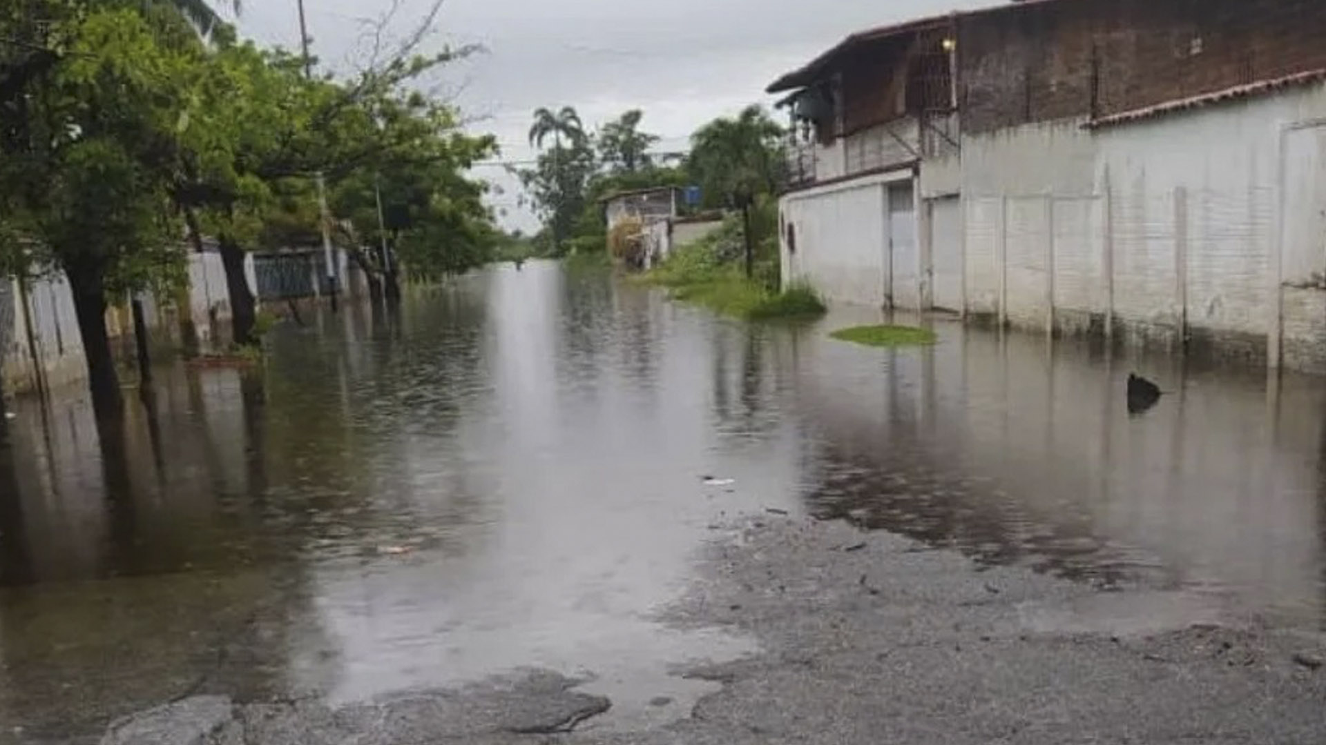 Lluvias e