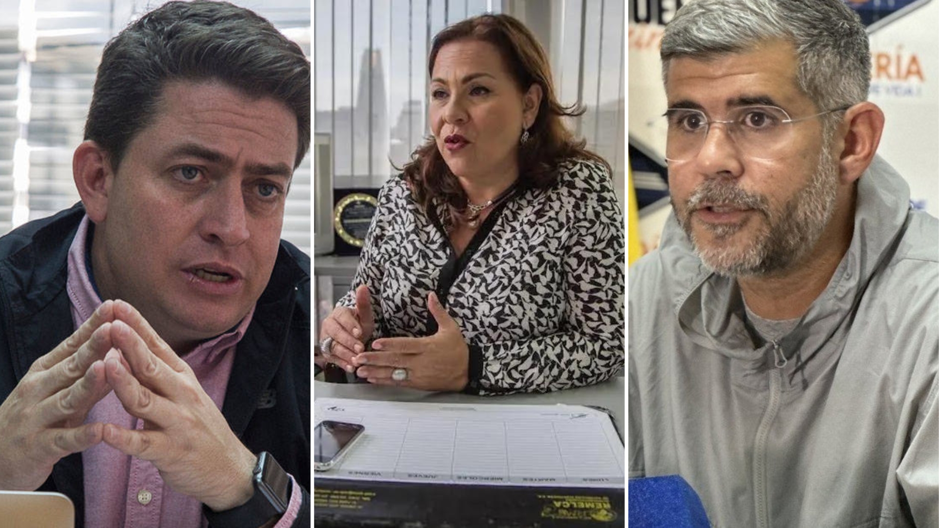 apoyo técnico del CNE