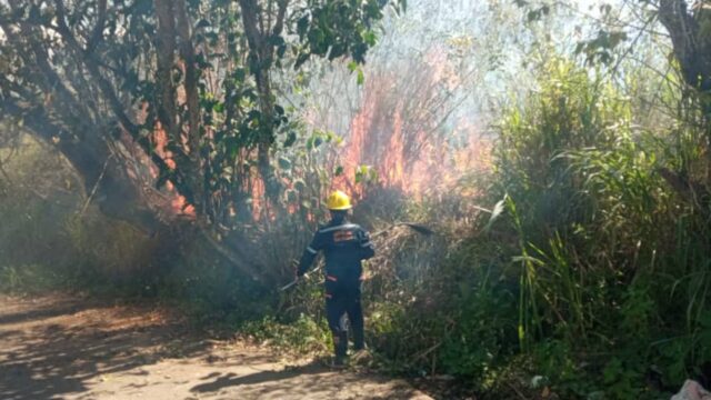 Incendios en Táchira, Venezuela. El Niño 2024