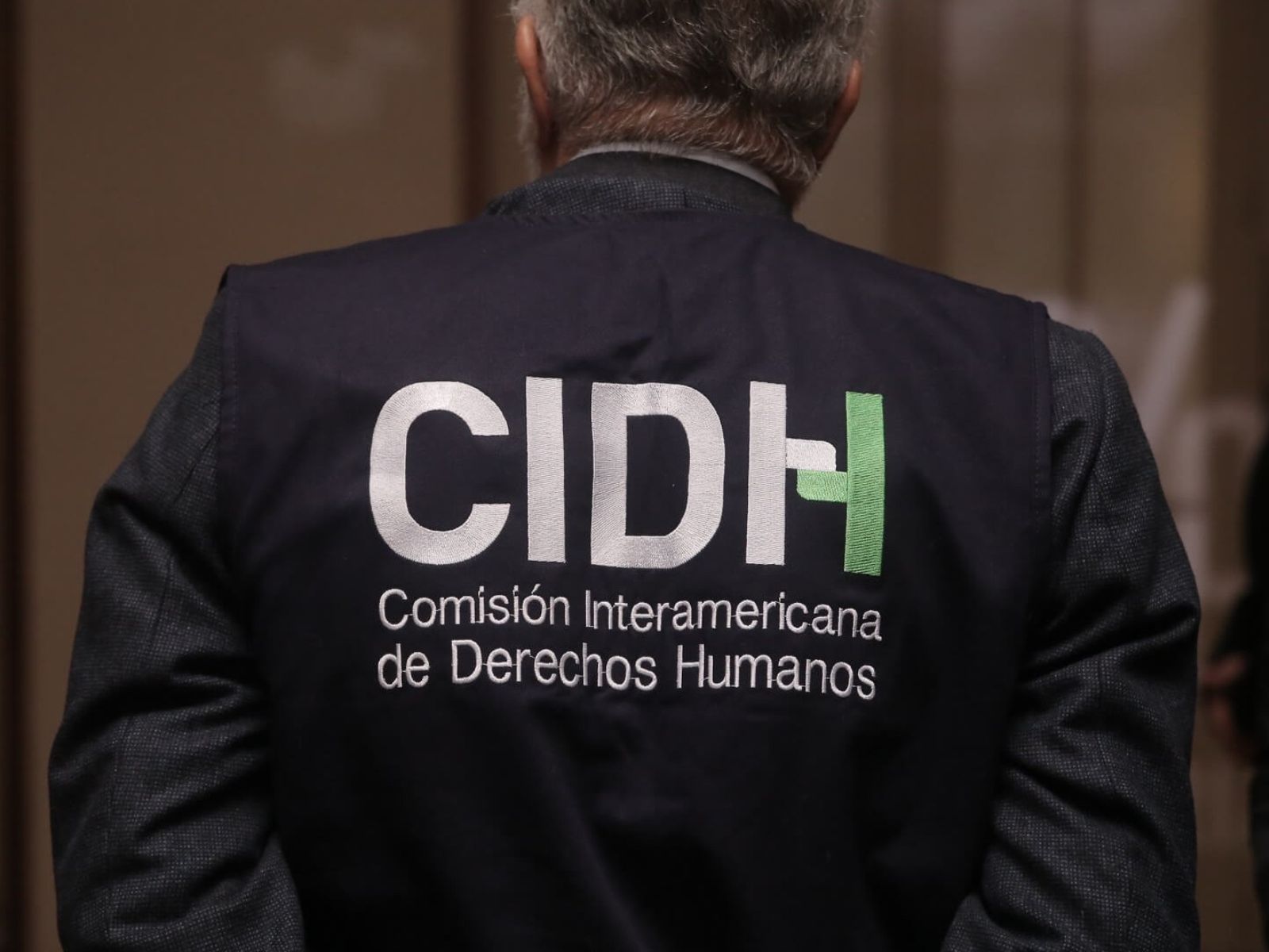 CIDH y RELE