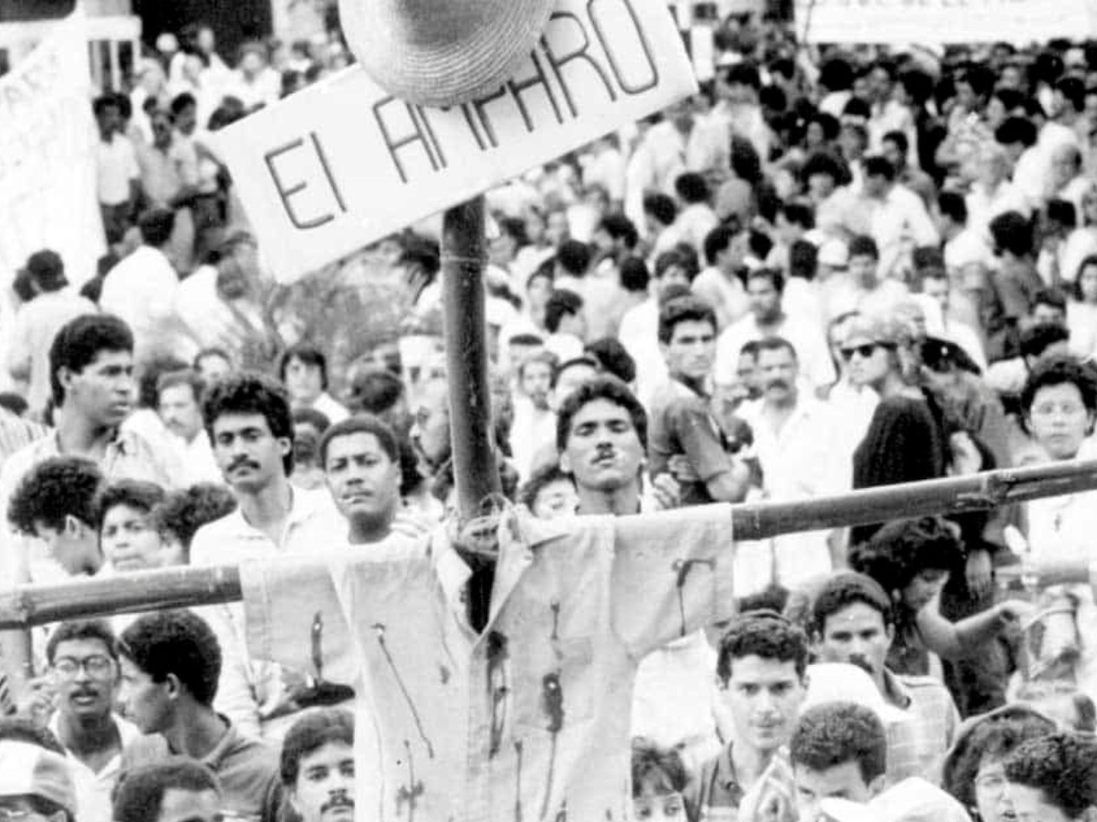 El amparo