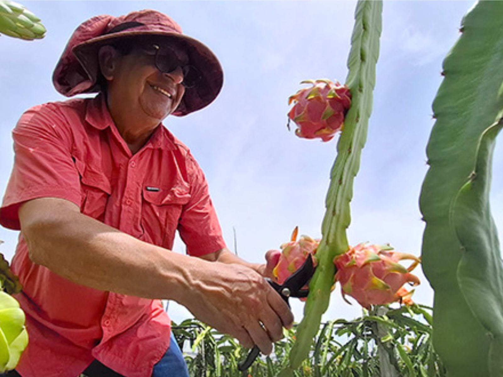 productores de Quíbor