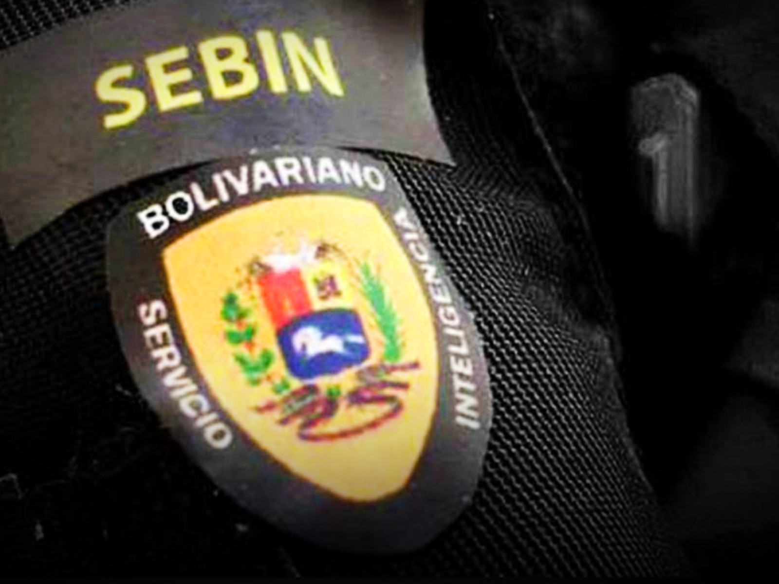 Insignia Sebin