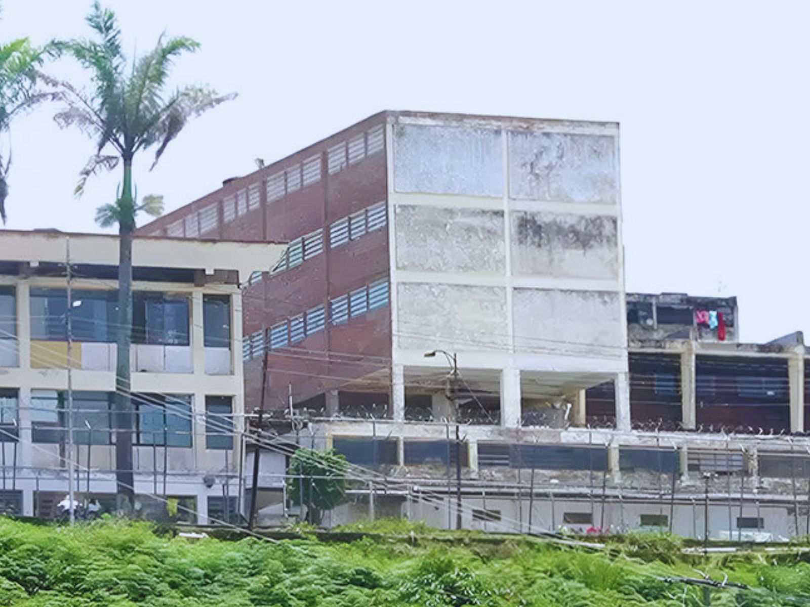 Presas políticas