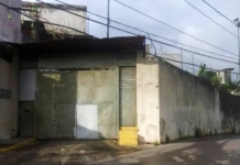 La Crisálida