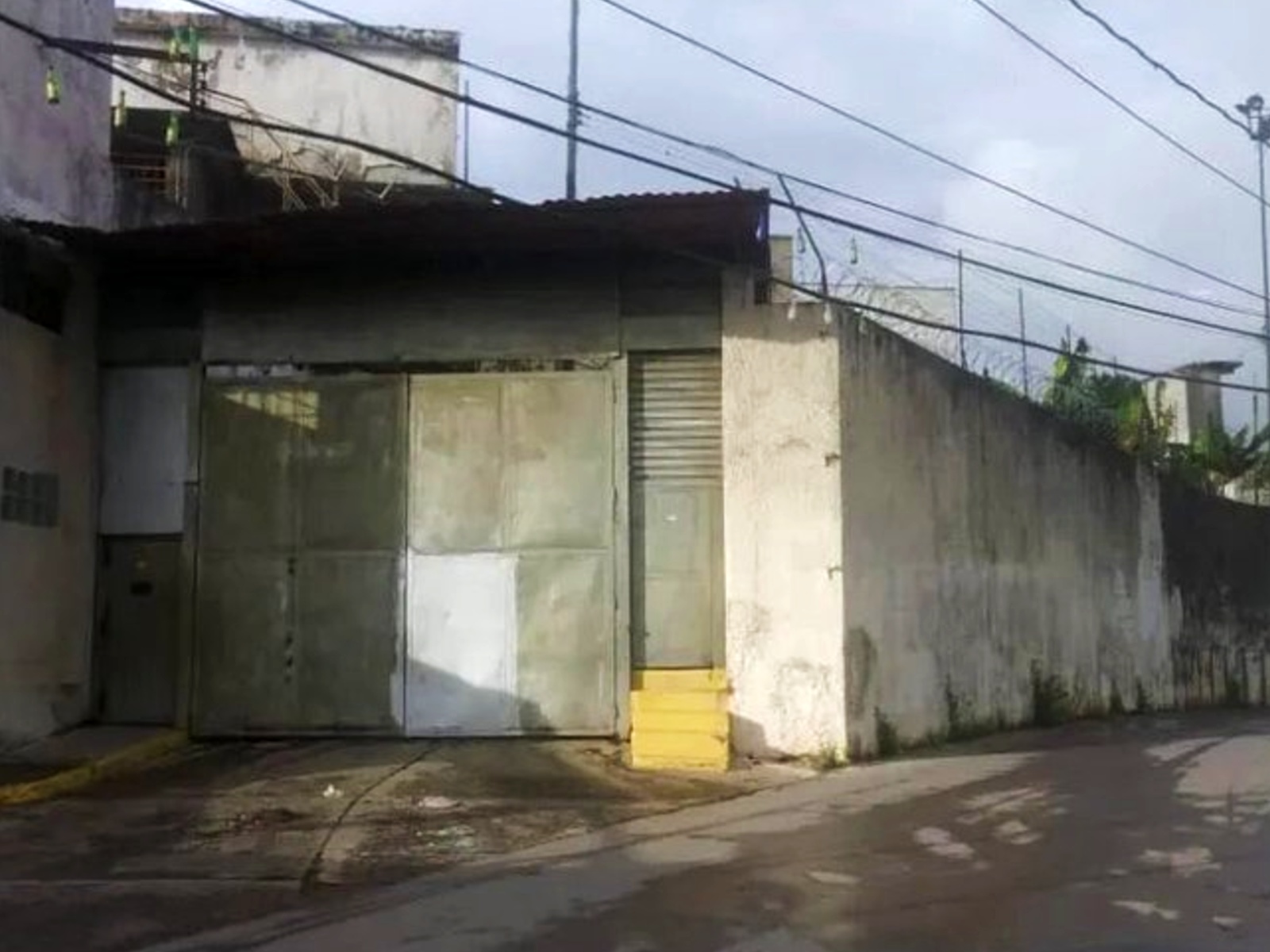 La Crisálida