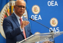 Albert Randim, secretario de la OEA