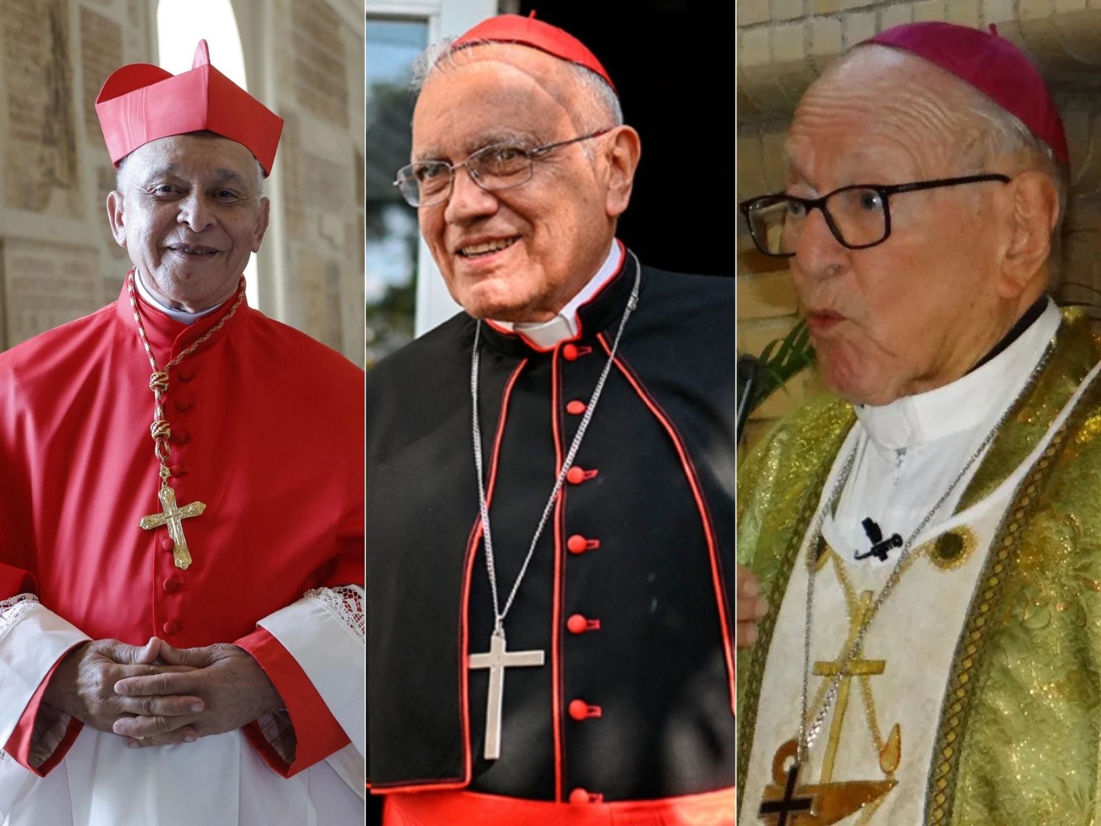cardenales diálogo