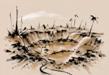 ¿Cómo reconstruir la devastación del Amazonas venezolano, por Edgar Cherubini Lecuna @edgarcherubini