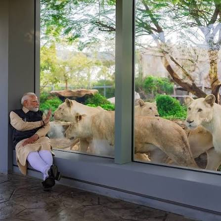 Modi en Vantara con un león