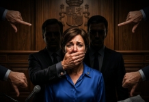 violencia contra la mujer politica